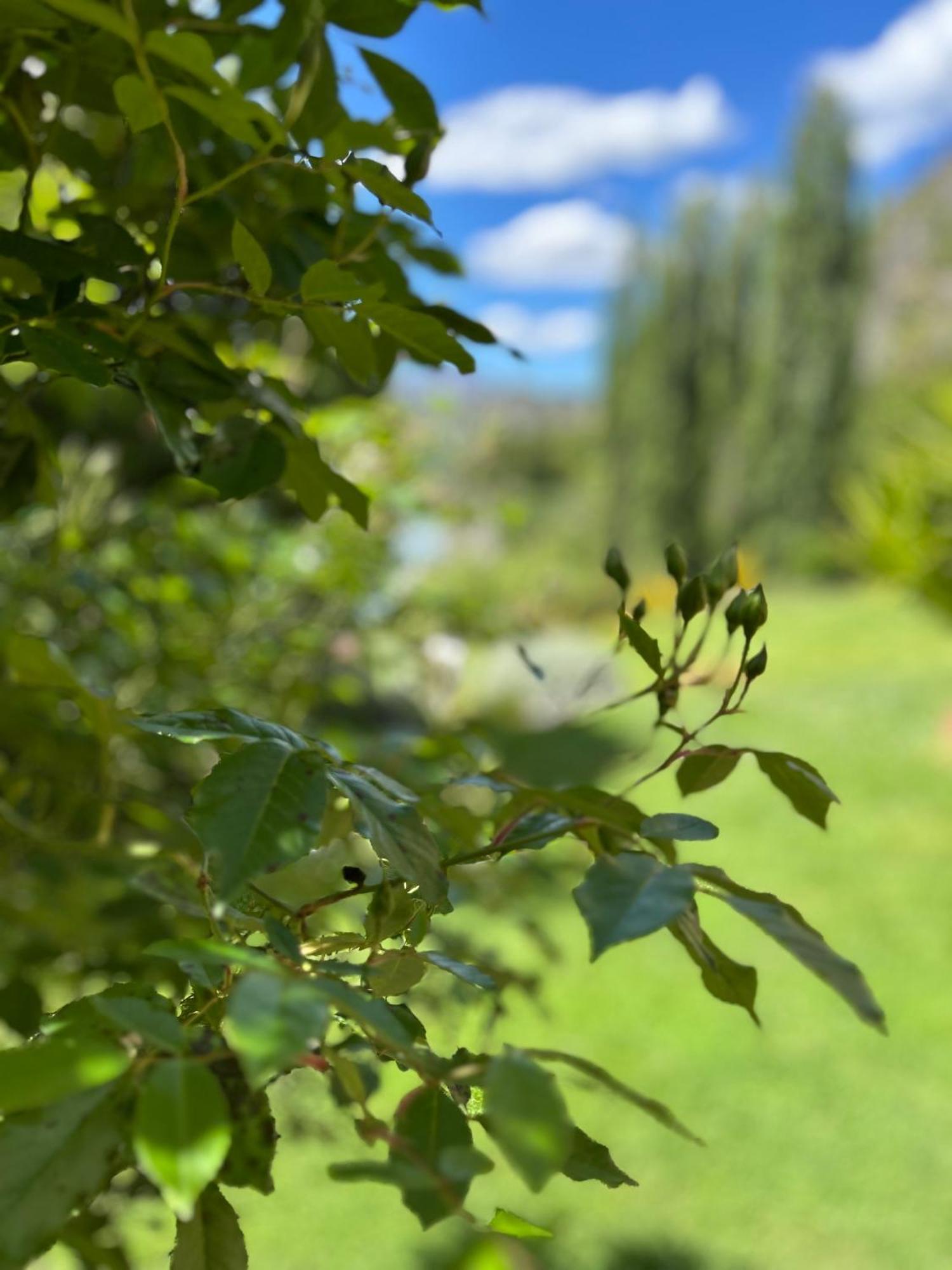 The Canyons B&B Queenstown Exterior foto